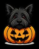 Scotty Pumpkin